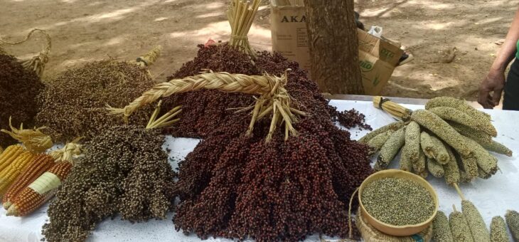 Kpalimé : Célébration des 21 ans de la COPAGEN-Togo