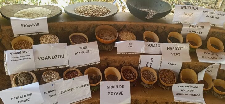 DOUFELGOU1 : Célébration de la 31 ème édition de la foire agricole au CIDAP- CENTRE/Baga